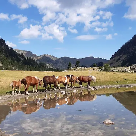 T3 Hyper-centre Cauterets, 5/7 Pers, Parking - Fr-1-234-315 科特雷